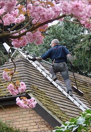 Our staff cleaning the moss from a roof in Portslade near Brighton